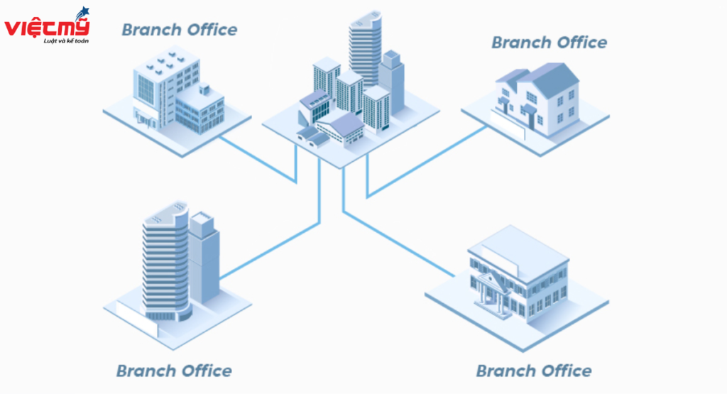 Company branch establishment service from A - Z