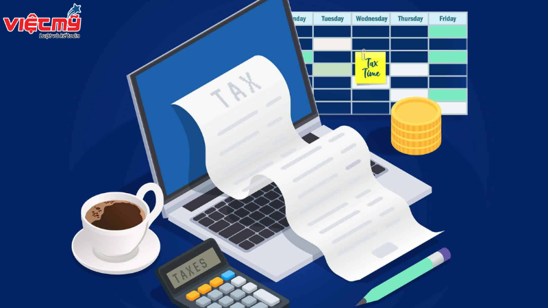 Tax records for newly established companies