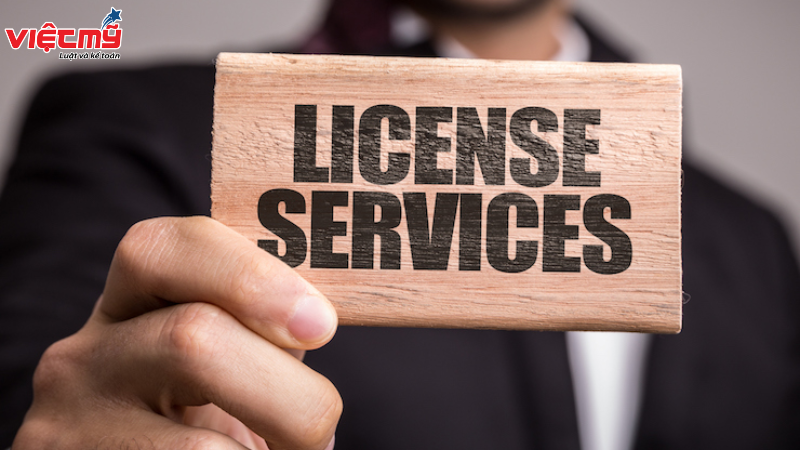 Fast, comprehensive company establishment license service