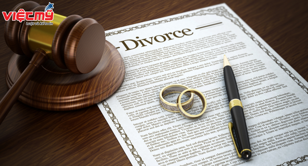 Full service divorce by mutual consent in Viet My 2024