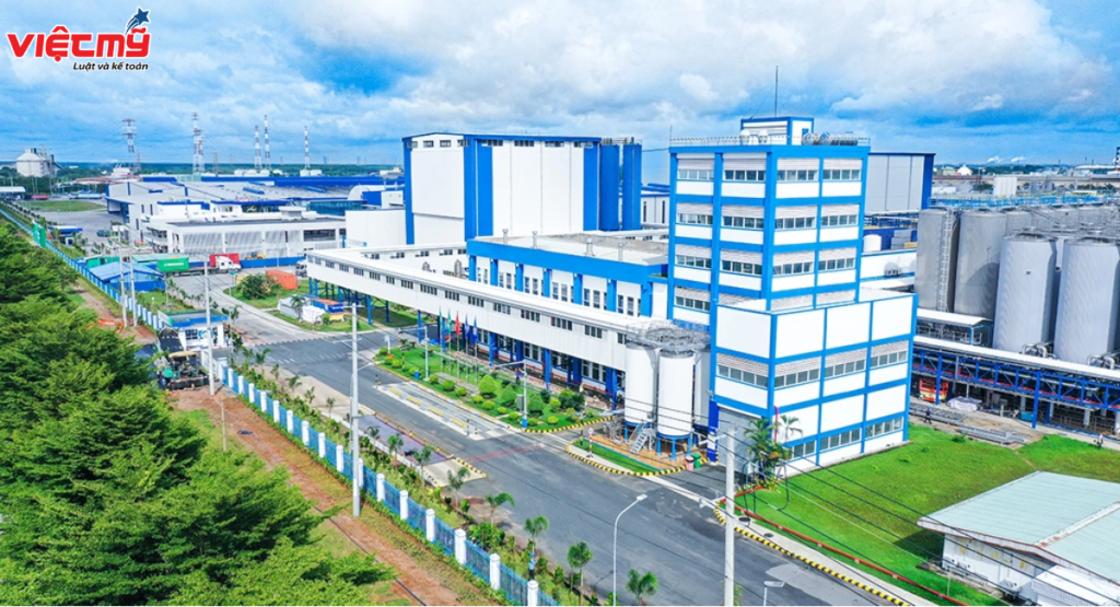 Company establishment service in Ba Ria Vung Tau - Complete from A - Z