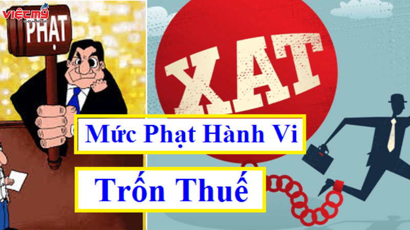 Khung hình phạt tội trốn thuế của các cá nhân, tổ chức theo Bộ luật Hình sự