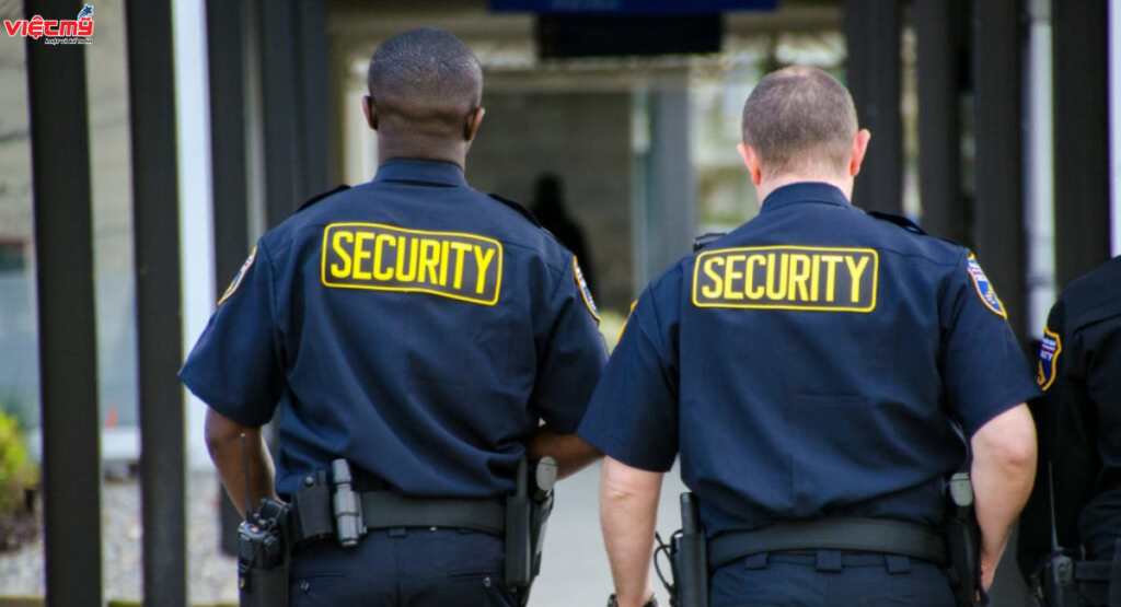 Detailed documents and procedures for applying for a public security license