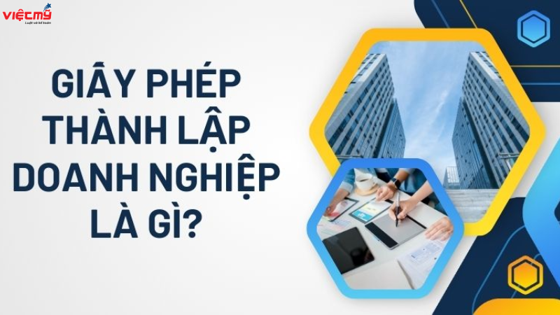 Giấy phép thành lập doanh nghiệp là gì?