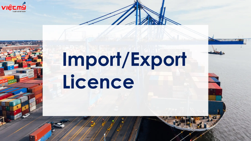 Procedure for applying for an import-export license in 2024