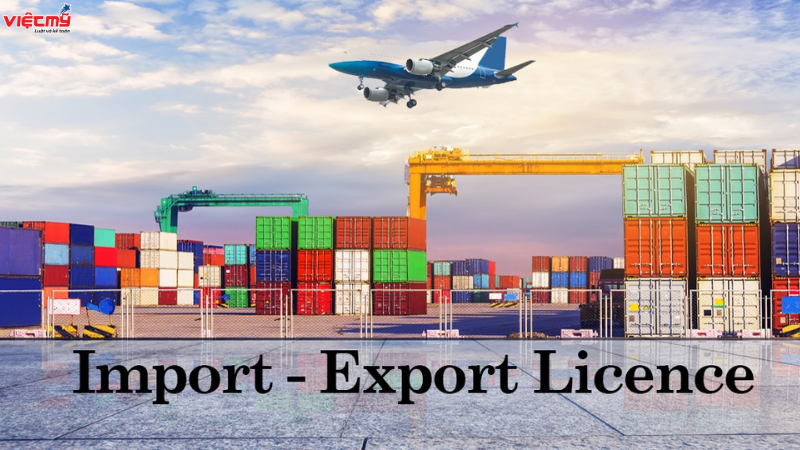 List of imported and exported goods managed under import export licenses