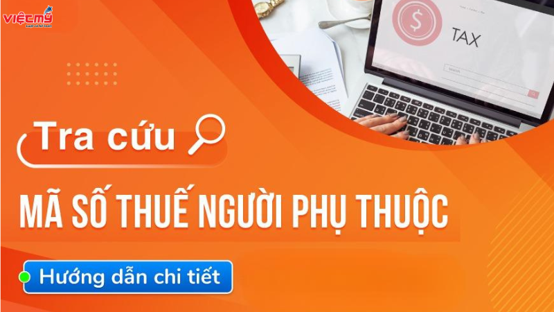 Cách tra cứu mã số thuế người phụ thuộc online dễ dàng