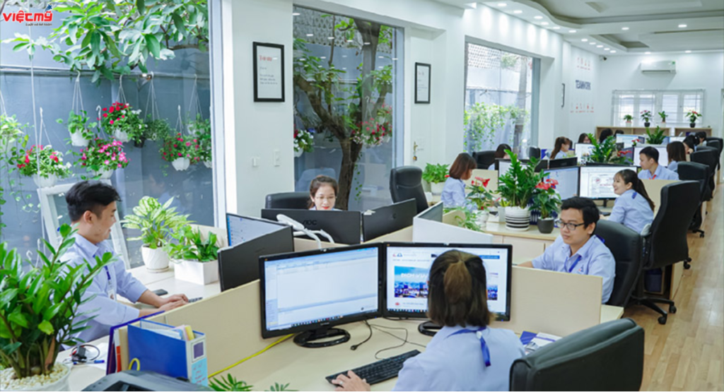 Full company establishment service in Vinh Long from A-Z