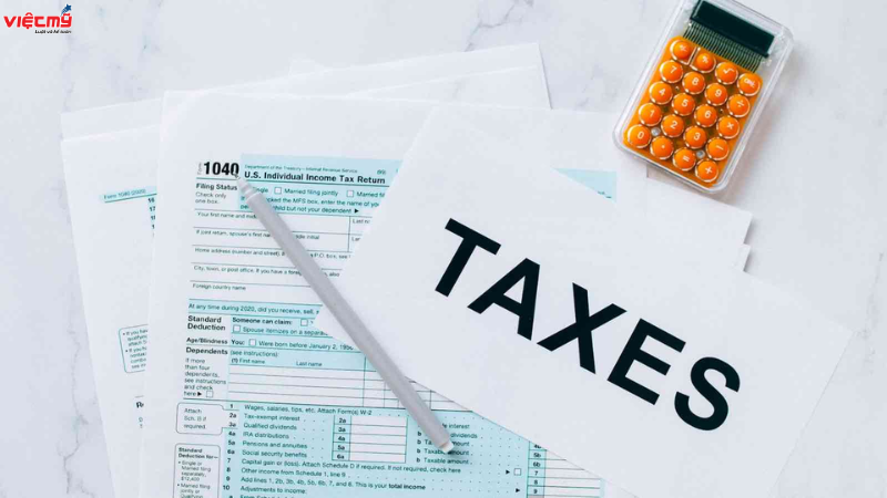 How to pay online business tax in accordance with regulations