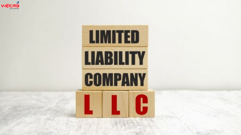 What is the minimum charter capital of a single-member LLC?