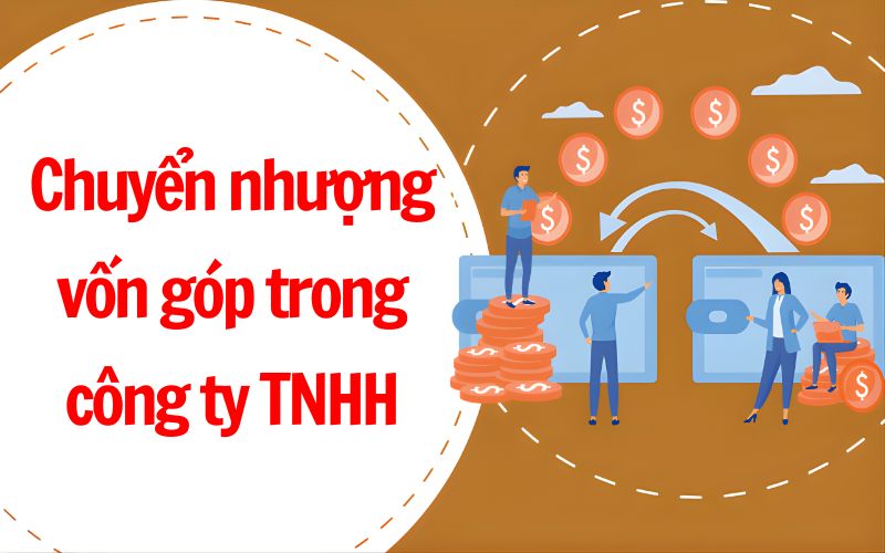 Quy định nhượng lại vốn góp của công ty TNHH