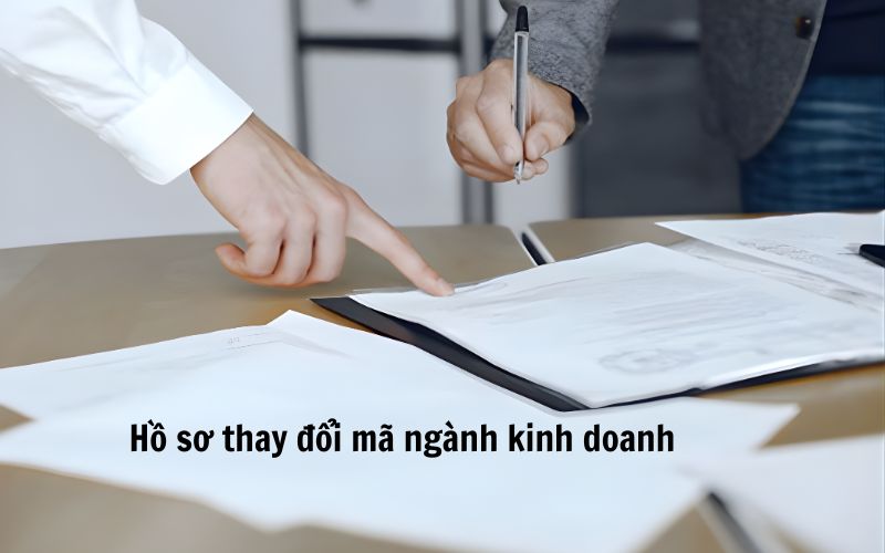 Hồ sơ điều chỉnh mã ngành nghề kinh doanh